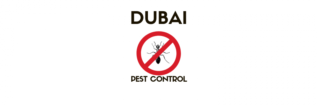 6 Best Pest Control Services in Dubai