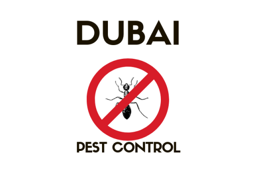 6 Best Pest Control Services in Dubai