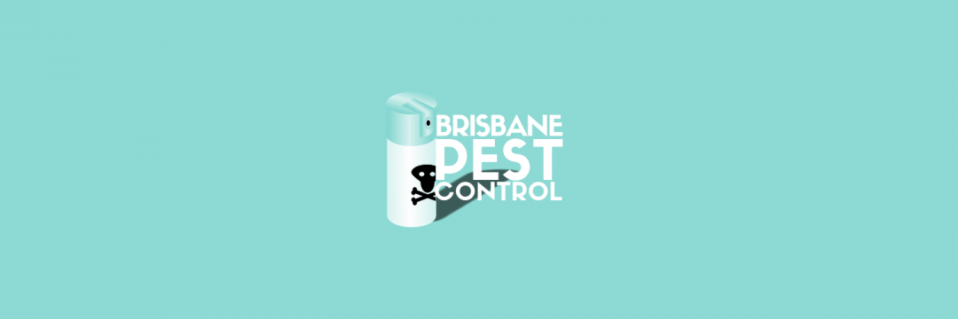 The 6 Best Options for Pest Control Services in Brisbane