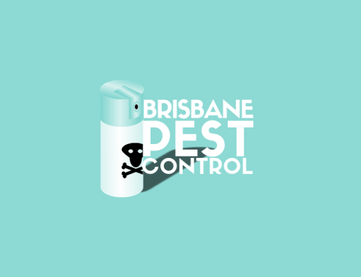 The 6 Best Options for Pest Control Services in Brisbane