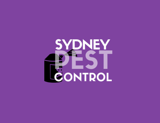 The 6 Best Options for Pest Control Services in Sydney