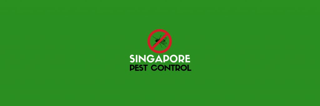 The 8 Best Pest Control Services in Singapore For Any Situation