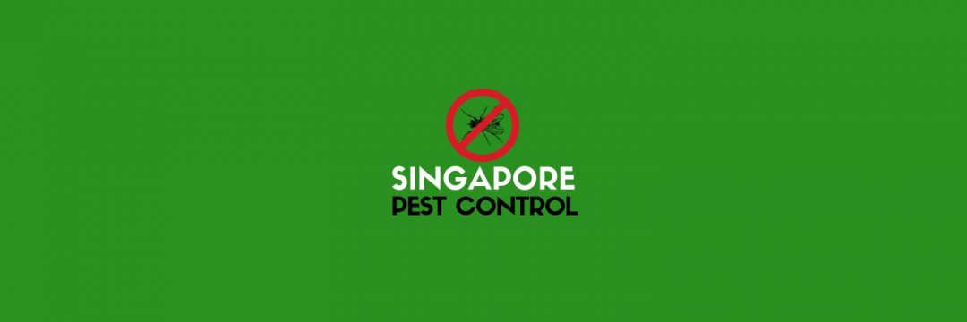 The 8 Best Pest Control Services in Singapore For Any Situation