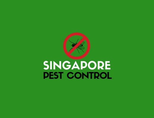 The 8 Best Pest Control Services in Singapore For Any Situation