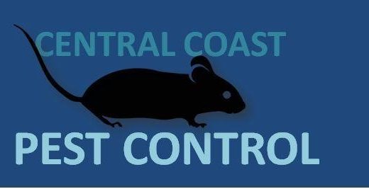 Best Pest Control Central Coast