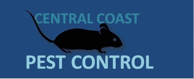 Best Pest Control Central Coast