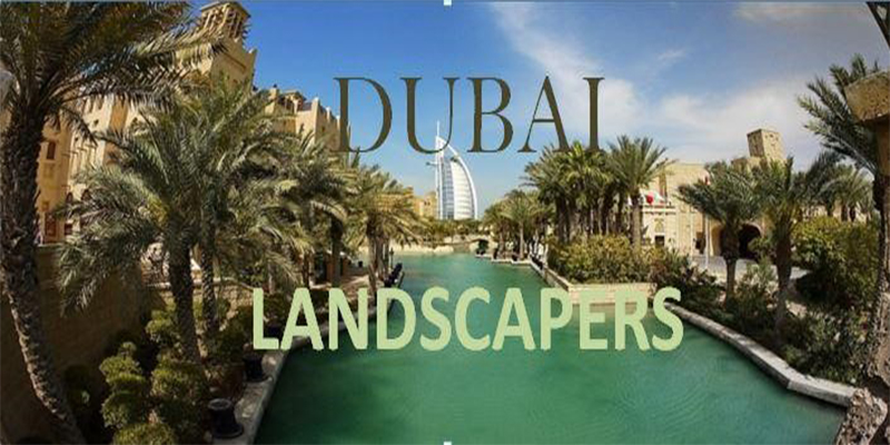 Best Dubai Landscaping Companies