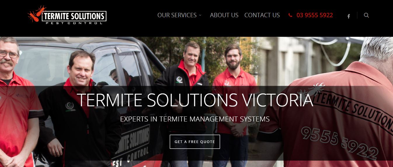 Termite Solutions Victoria's Homepage