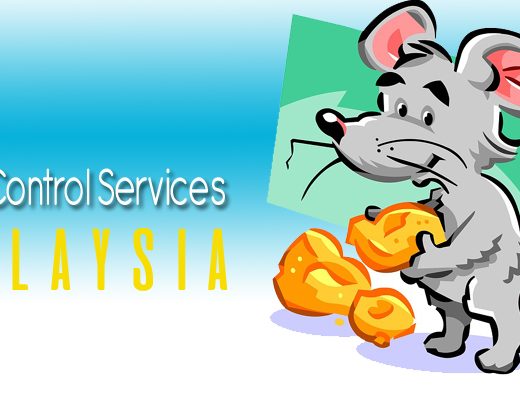 Best Pest Control Services Malaysia