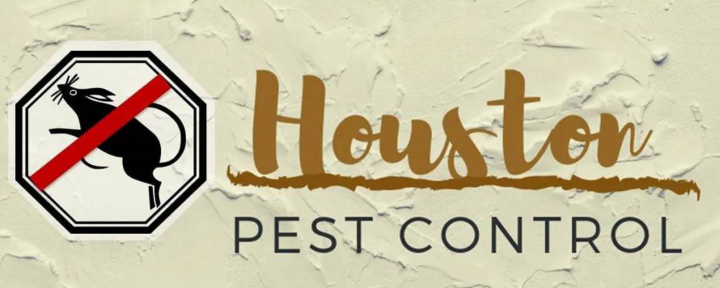 Best Pest Control Houston