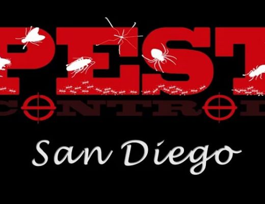 Best Pest Control San Diego