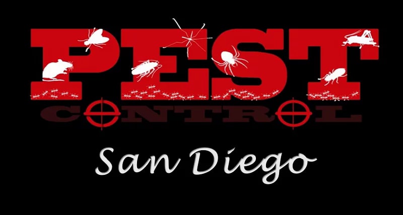 Best Pest Control San Diego
