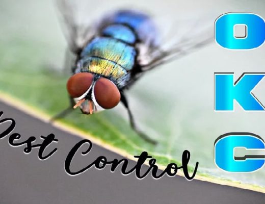 Best Pest Control OKC