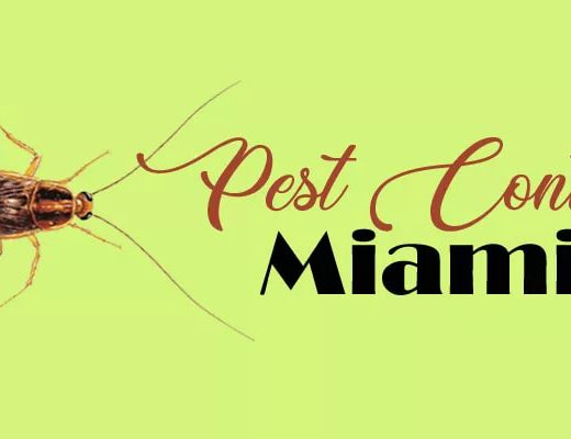 Best Options Pest Control Miami