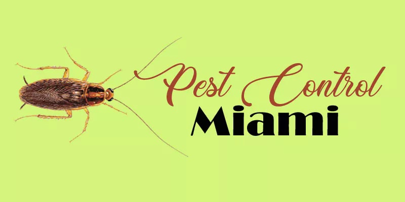 Best Options Pest Control Miami