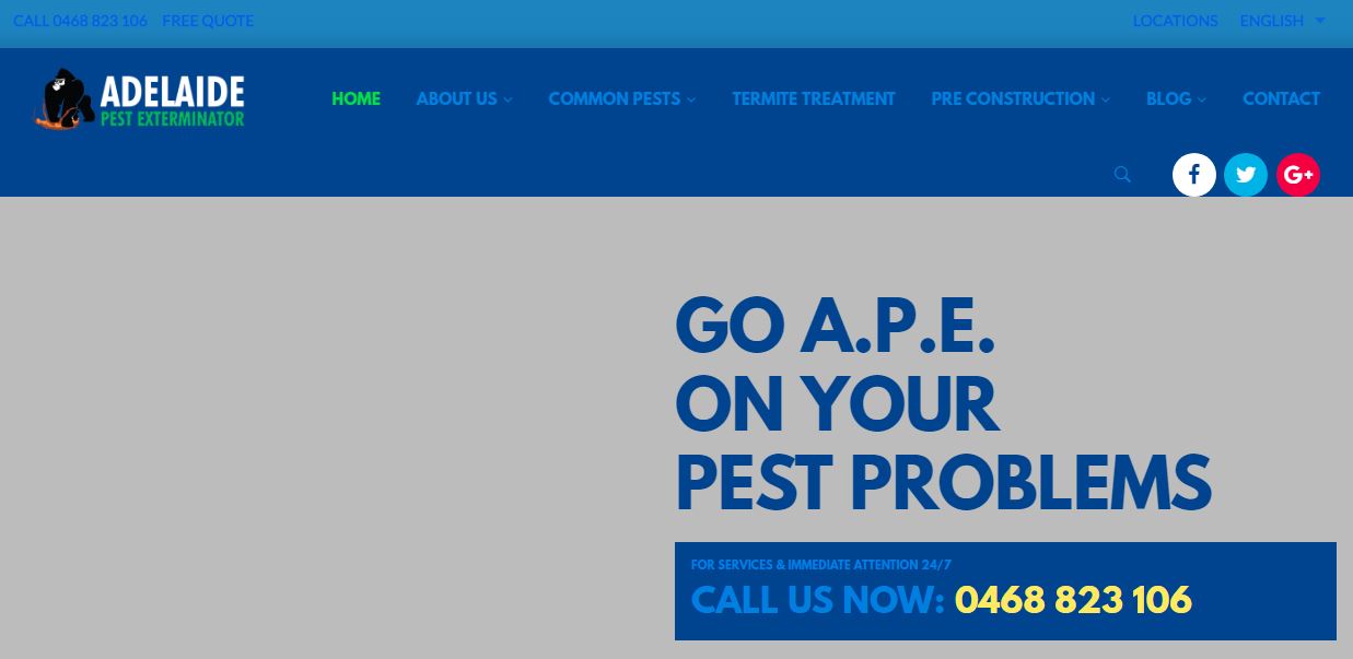 Adelaide Pest Exterminators' Homepage