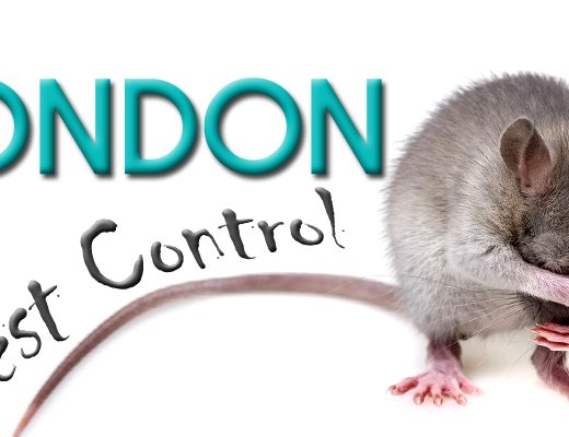 Pest Control in London