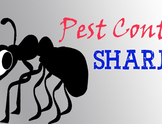 Best Pest Control Sharjah