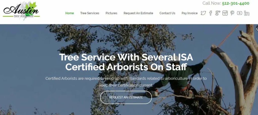 Austin Tree Surgeons' Homepage