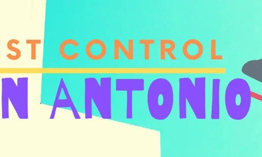 Best Pest Control San Antonio
