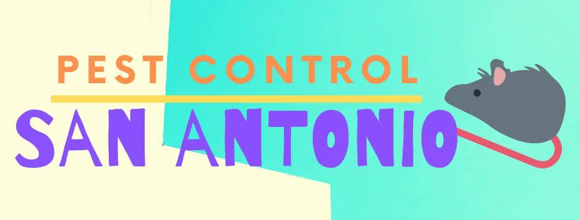 Best Pest Control San Antonio