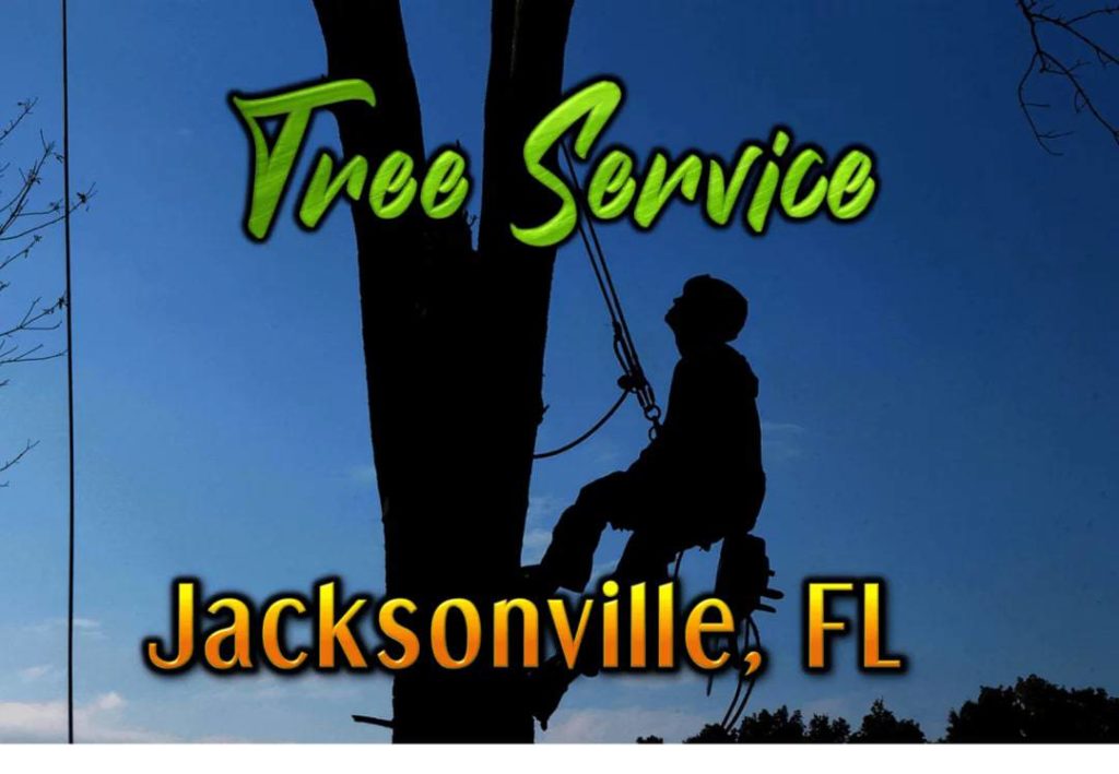 The 6 Best Options for Tree Service in Jacksonville, FL [2021]