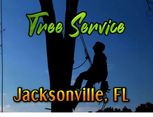 Best Tree Service in Jacksonville, FL