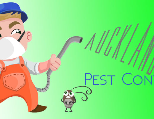 Best Pest Control Auckland