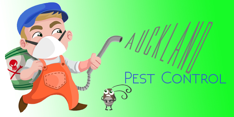 Best Pest Control Auckland