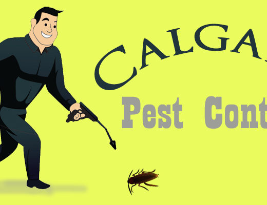 Best Pest Control Calgary