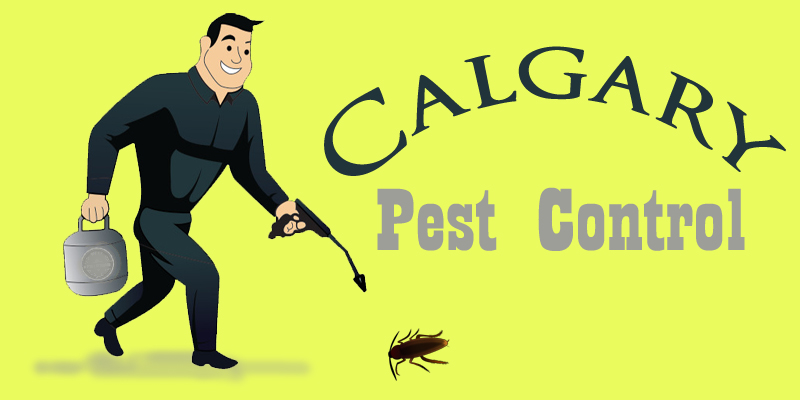 Best Pest Control Calgary