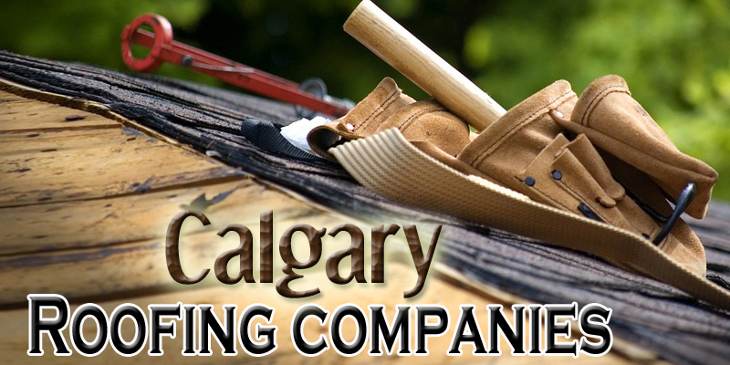 Best Roofing Companies Calgary