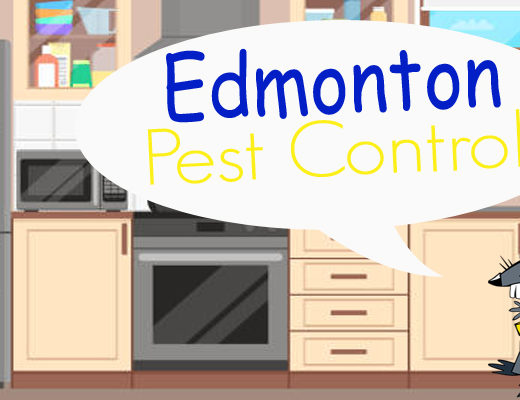 Best Pest Control Edmonton