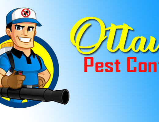Best Pest Control Ottawa