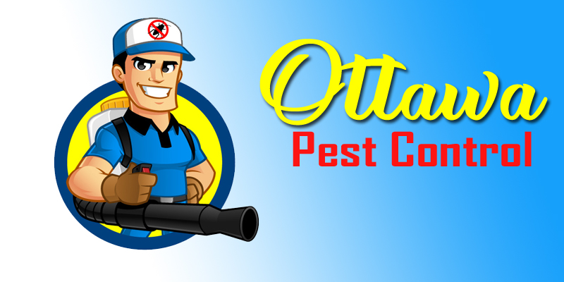 Best Pest Control Ottawa