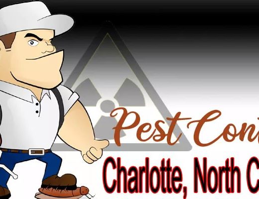 Best Pest Control Charlotte NC