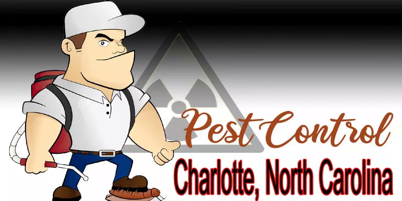 Best Pest Control Charlotte NC