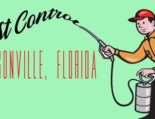 Best Pest Control Jacksonville FL