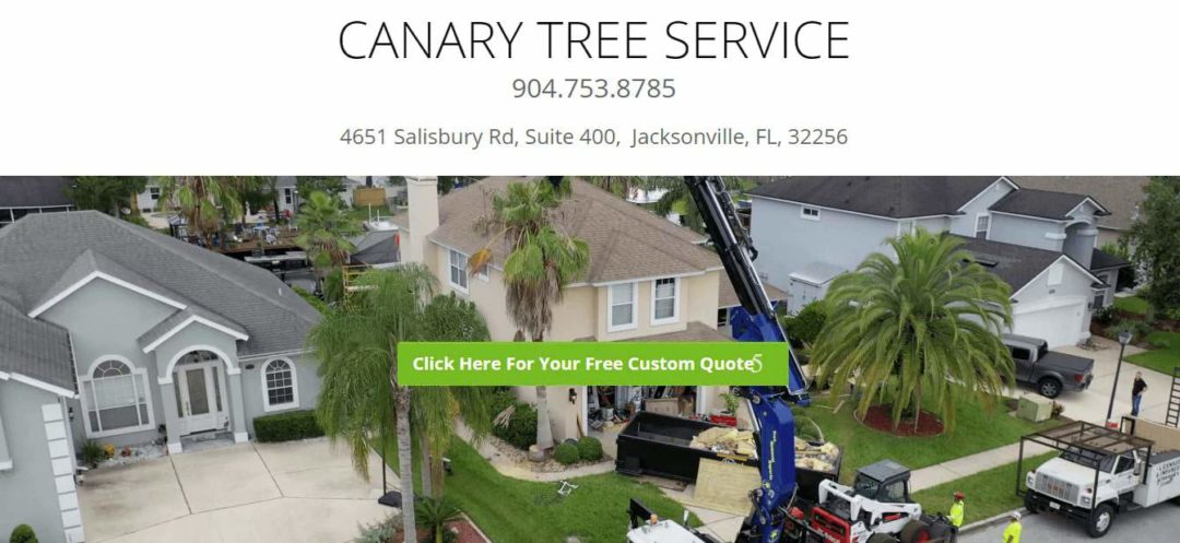 The 6 Best Options for Tree Service in Jacksonville, FL [2021]
