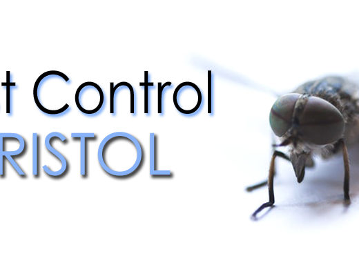 Best Pest Control Bristol