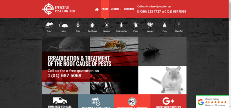 Effective Pest Control Dublin's Homepage