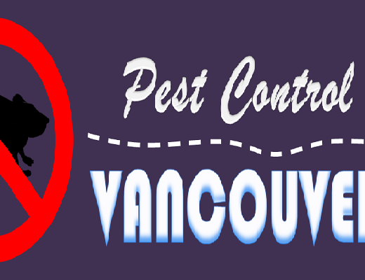 Best Pest Control Vancouver