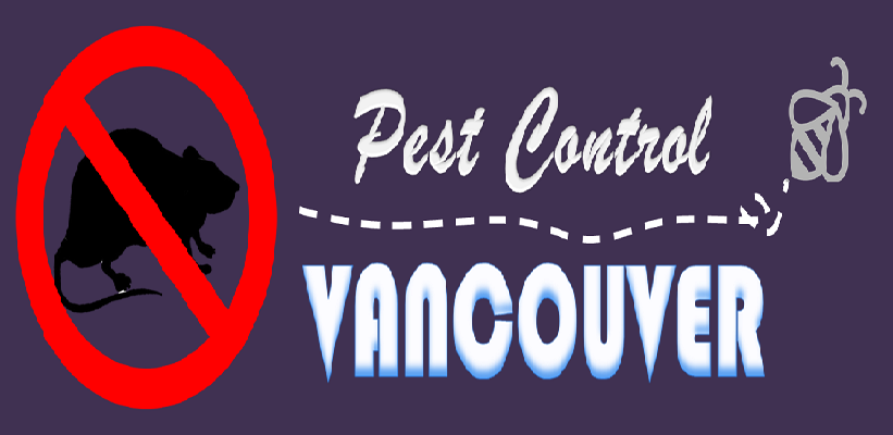 Best Pest Control Vancouver