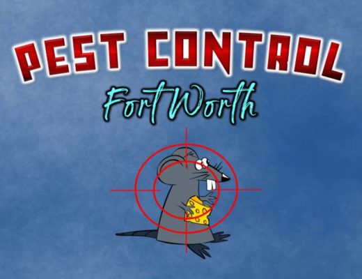 Best Pest Control in Fort Worth