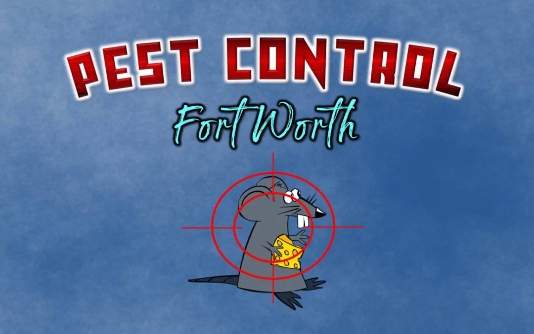 Best Pest Control in Fort Worth