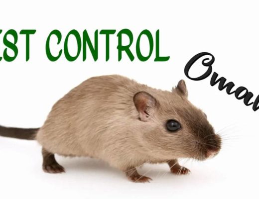 Best Pest Control Omaha