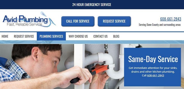 Avid Plumbing LLC's Homepage