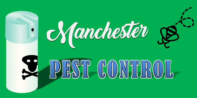 Best Pest Control Manchester