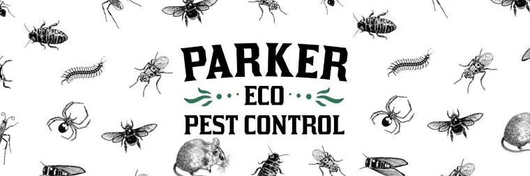 The 6 Best Options For Pest Control In Seattle 2020 Pest Control In Seattle