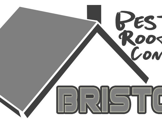 Best Roofing Companies Bristol